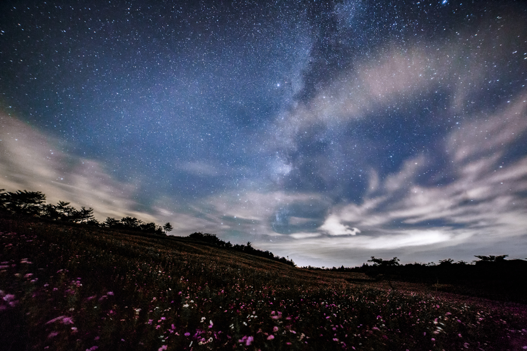 出会いの夜空