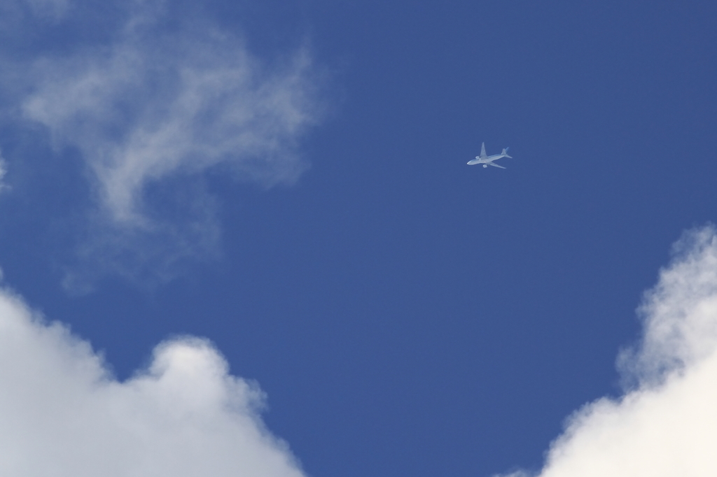 空を見上げると・・・