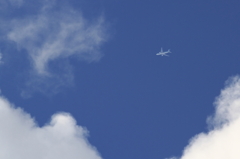 空を見上げると・・・