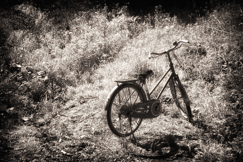 Bicycle at ･･･
