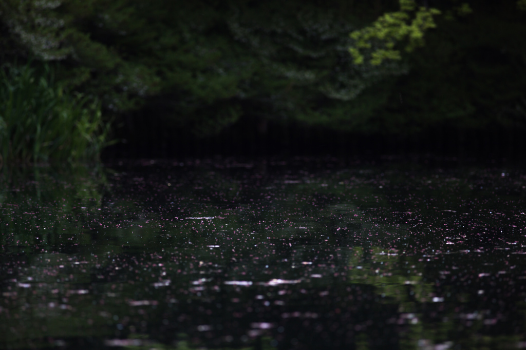 幻想