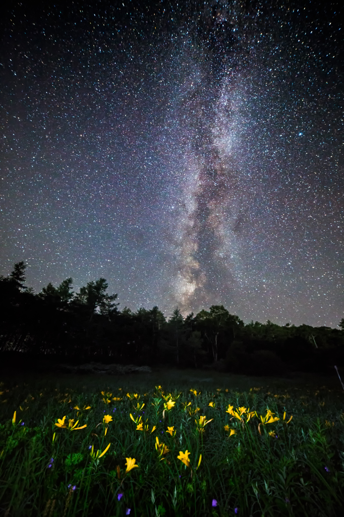 夏の星空 〜思い出〜