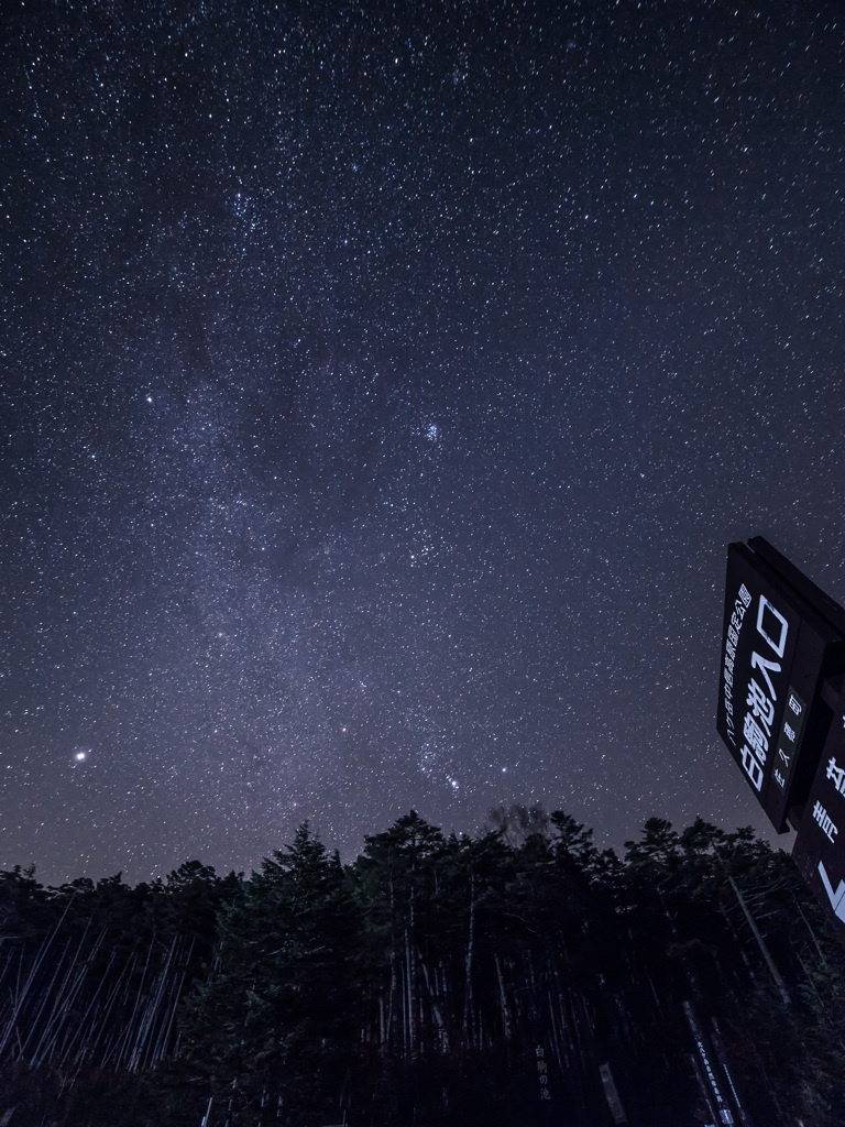 白駒の夜〈入口〉