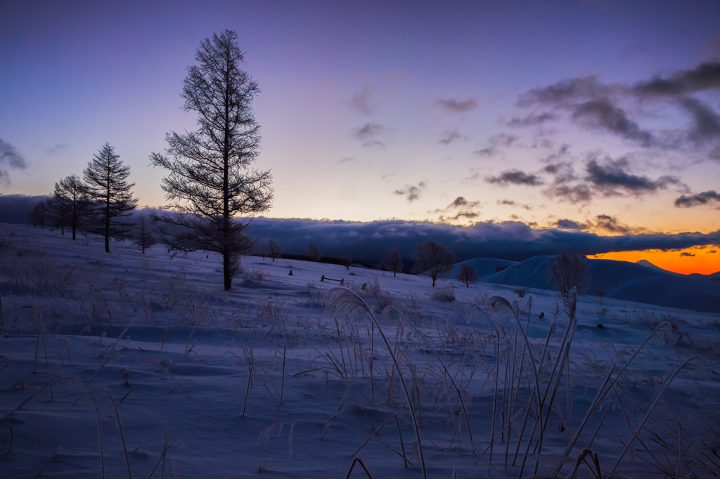 Twilight Morning