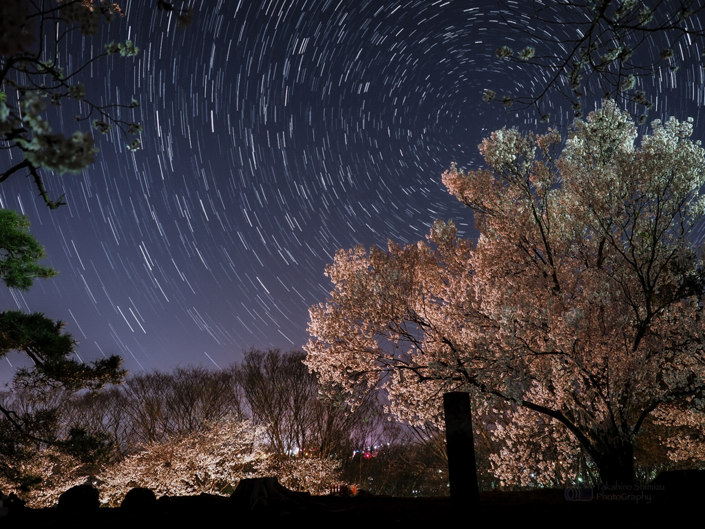 桜凱星