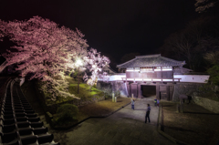 三の門の夜桜