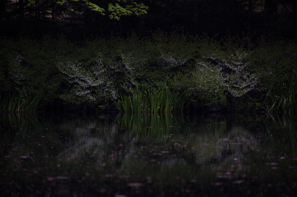 幻惑