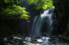 新緑の浅間大滝