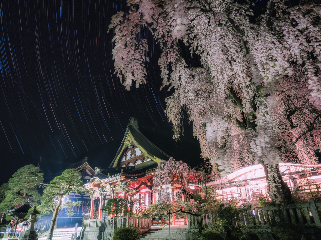 久遠寺の夜桜と星空輪廻