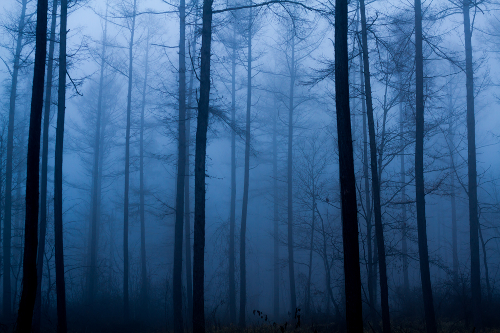 Morning Blue ~ Fresh air ~ 