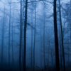 Morning Blue ~ Fresh air ~ 