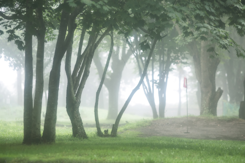 霧の中の１０番ホール 