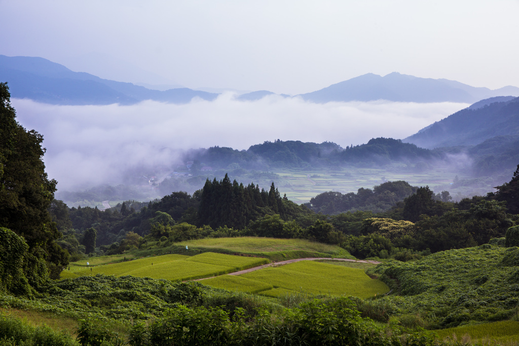 里山を覆う雲海