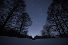 冬の夜空と白い道
