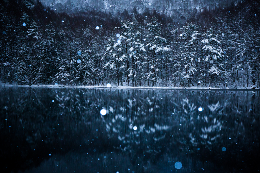 夜の御射鹿池と雪の華