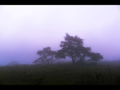 霧の中の高ボッチ ＜紫空＞