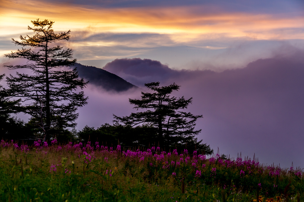 高峰高原夕景