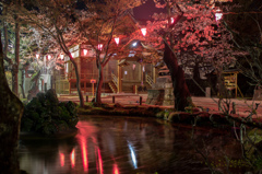 懐古神社の夜