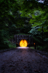 森の中の静かなトンネル