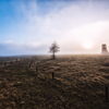 Rising sun in the mist 