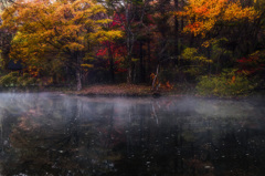 ある沼の風景 〜紅葉〜