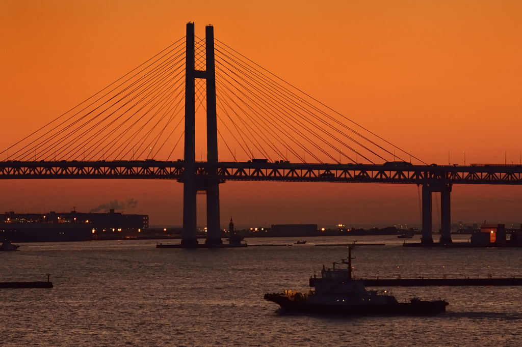 Yokohama Morning Glow.