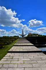 万博記念公園　平和のバラ園より