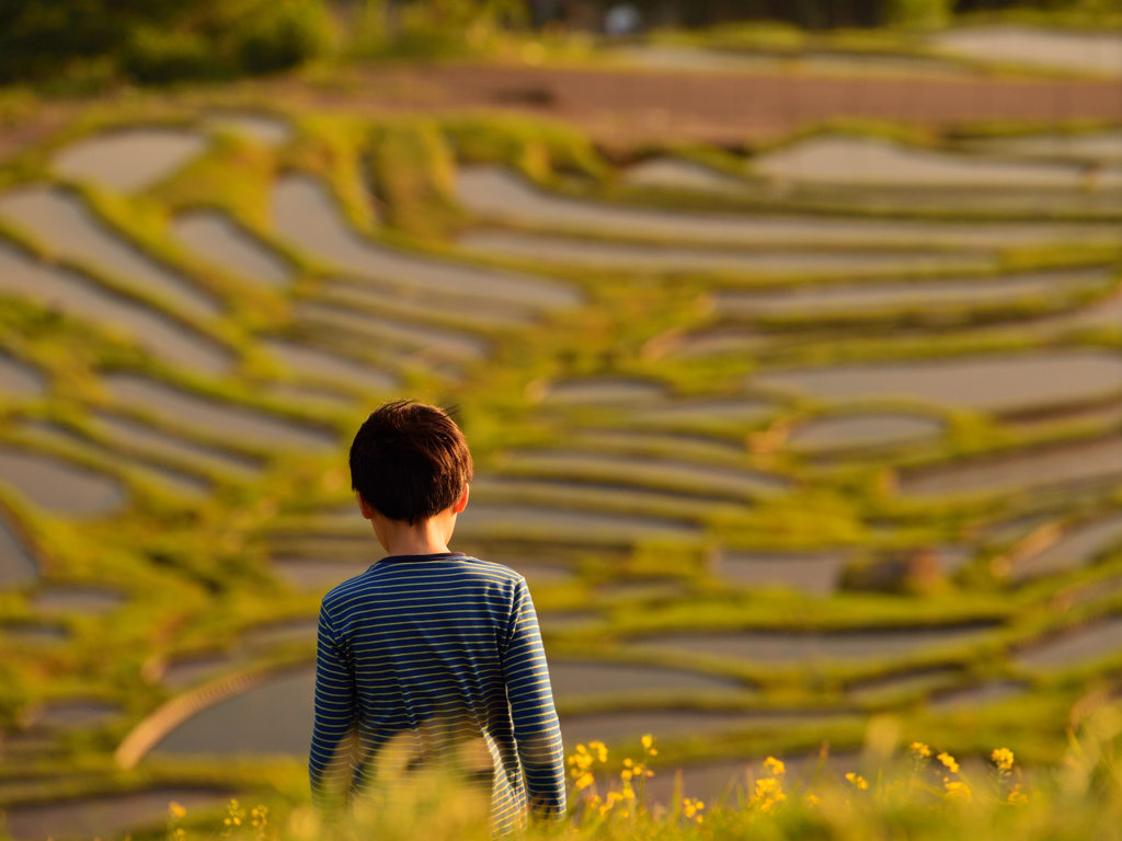 夕日のなかで、