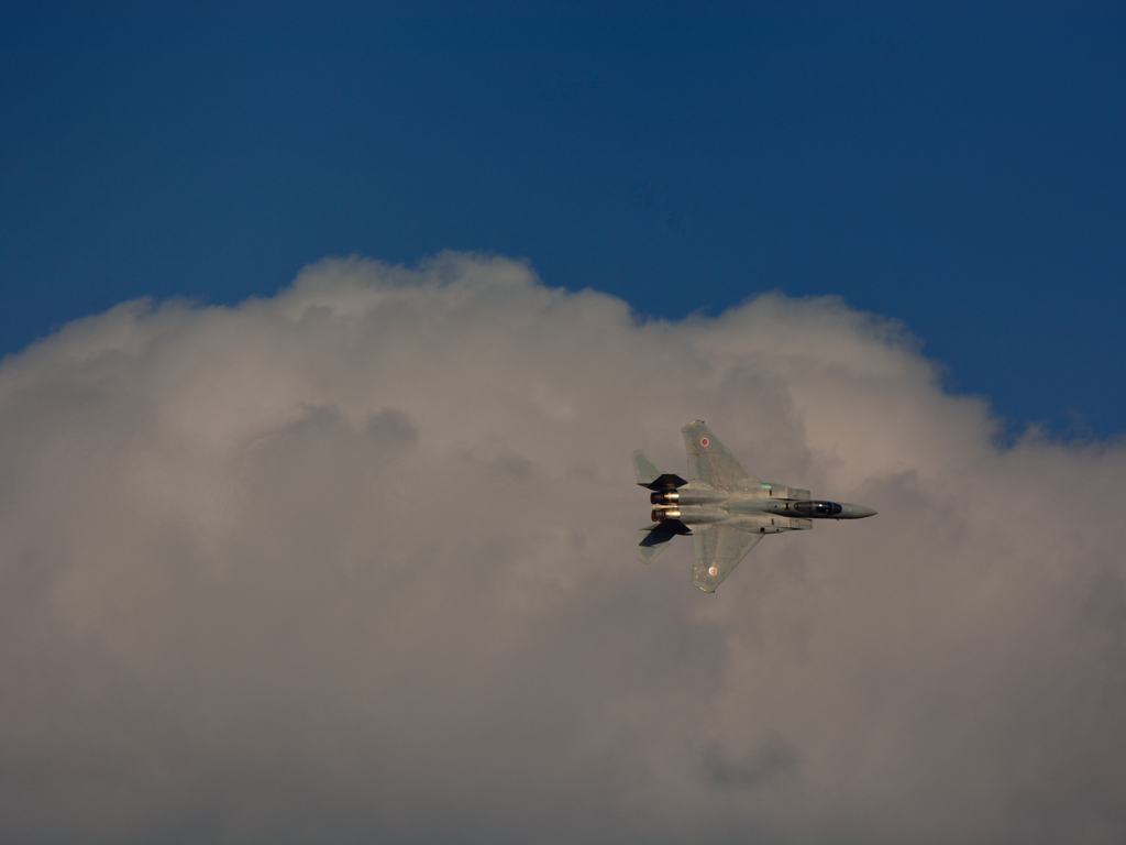 F-15J EAGLE・・・・・・・・