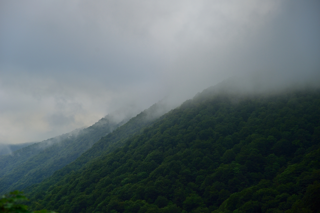 雲の中へ