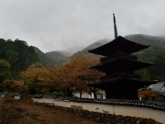 雨、紅葉