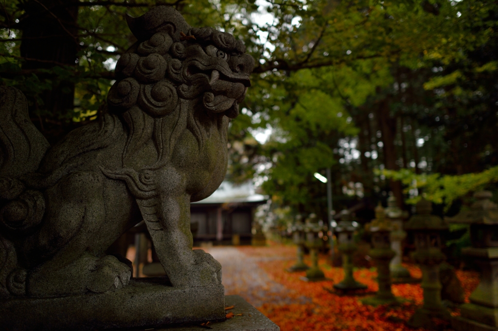 八幡さま、、