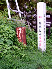 温井峠　龍郷白山登道入口