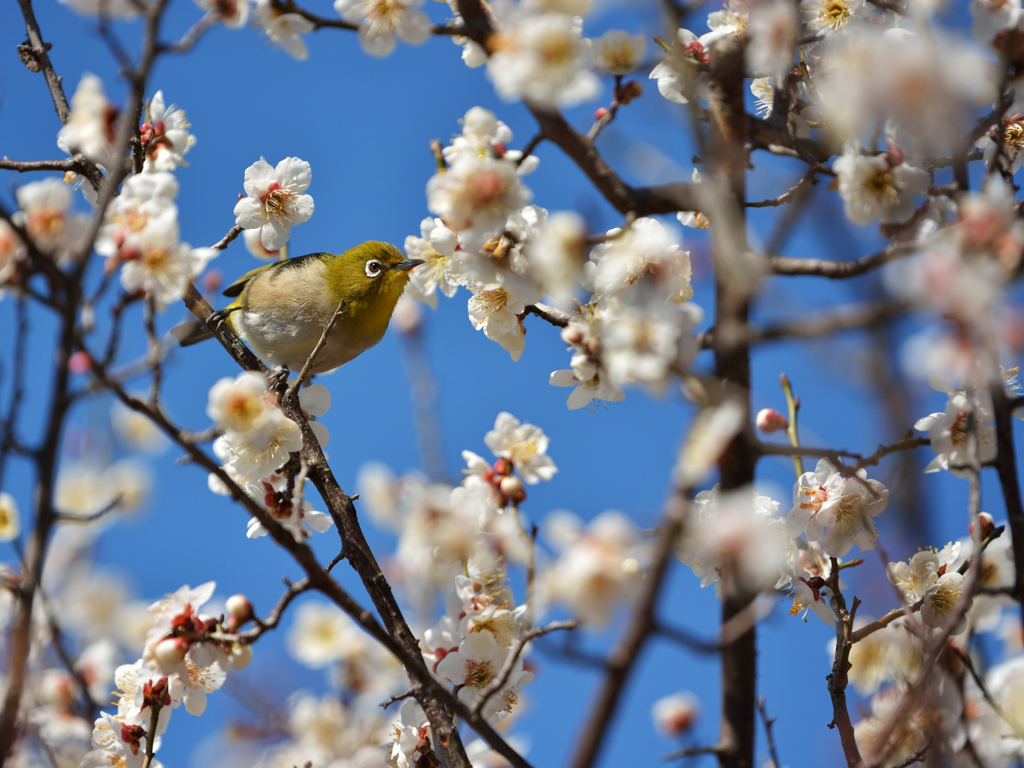 春のヒトトキ、、