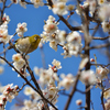 春のヒトトキ、、