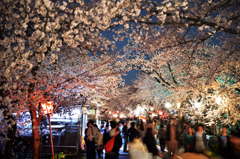 花見
