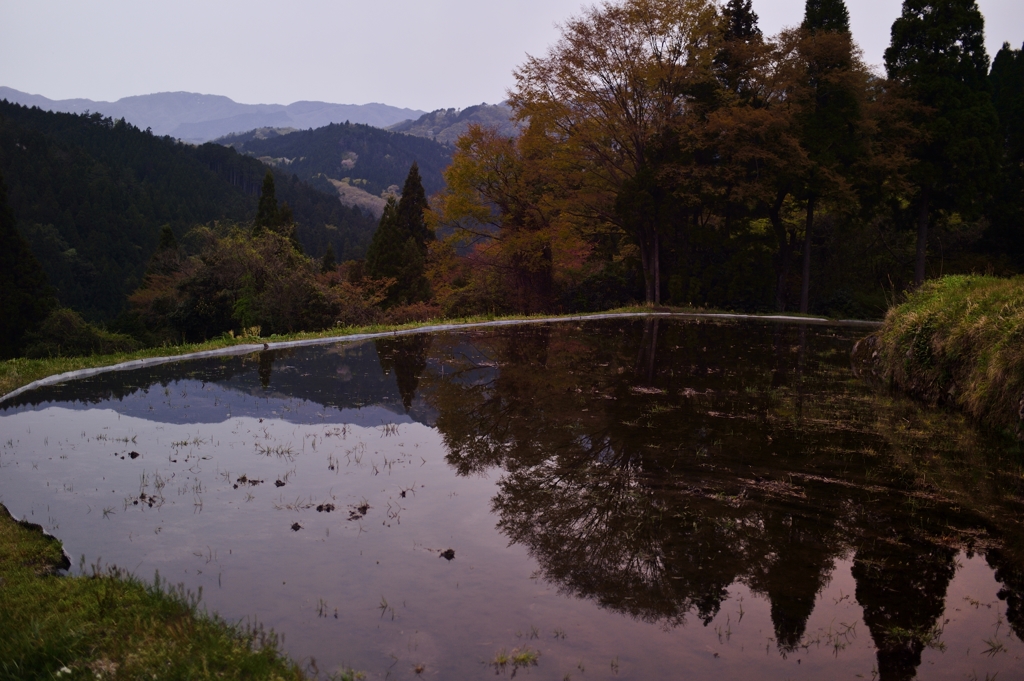 田舎