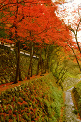 2012　横蔵寺です。
