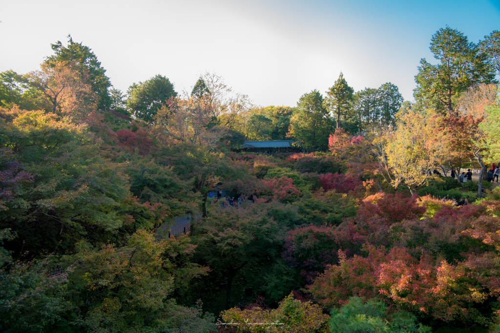 gradation、