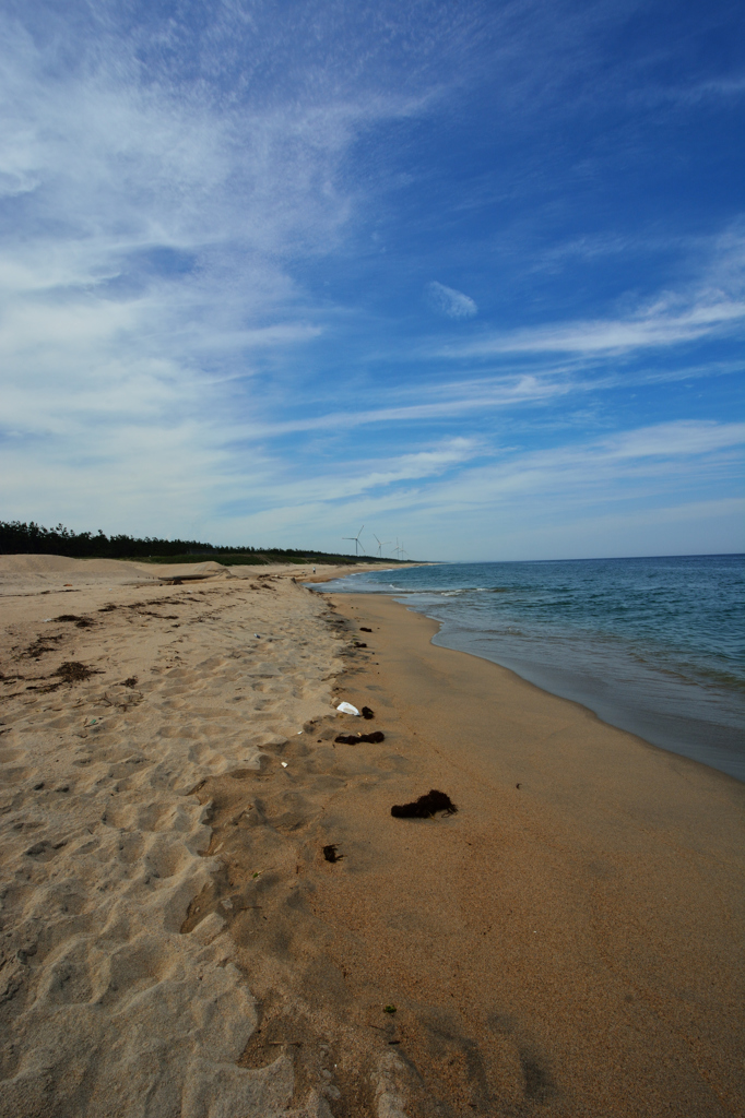 The shore of the wind....