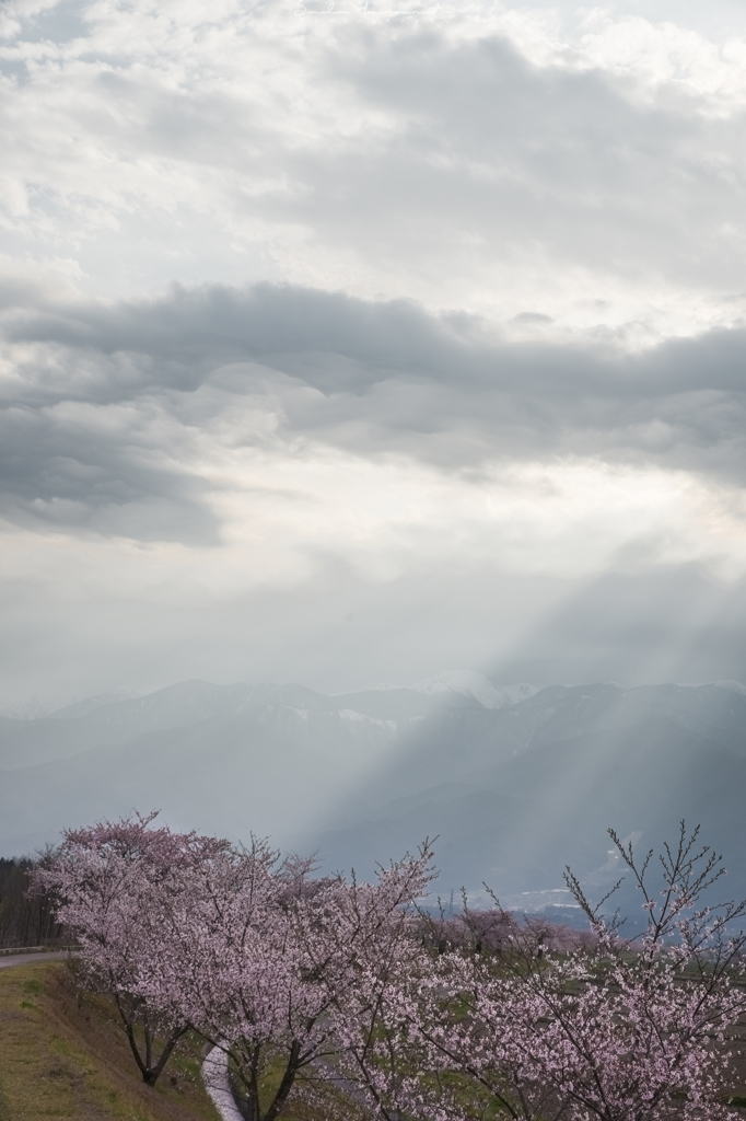 駒ヶ岳の一場面