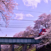 境川と私鉄