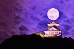 昨夜の一枚、二つ目