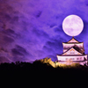 昨夜の一枚、二つ目