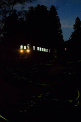 樽見鉄道の夜