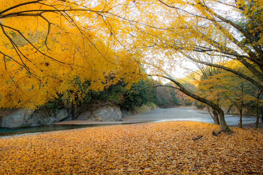 水辺の紅葉