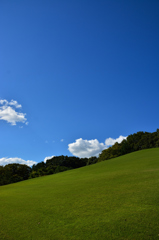 万博記念公園　日本庭園散策～②