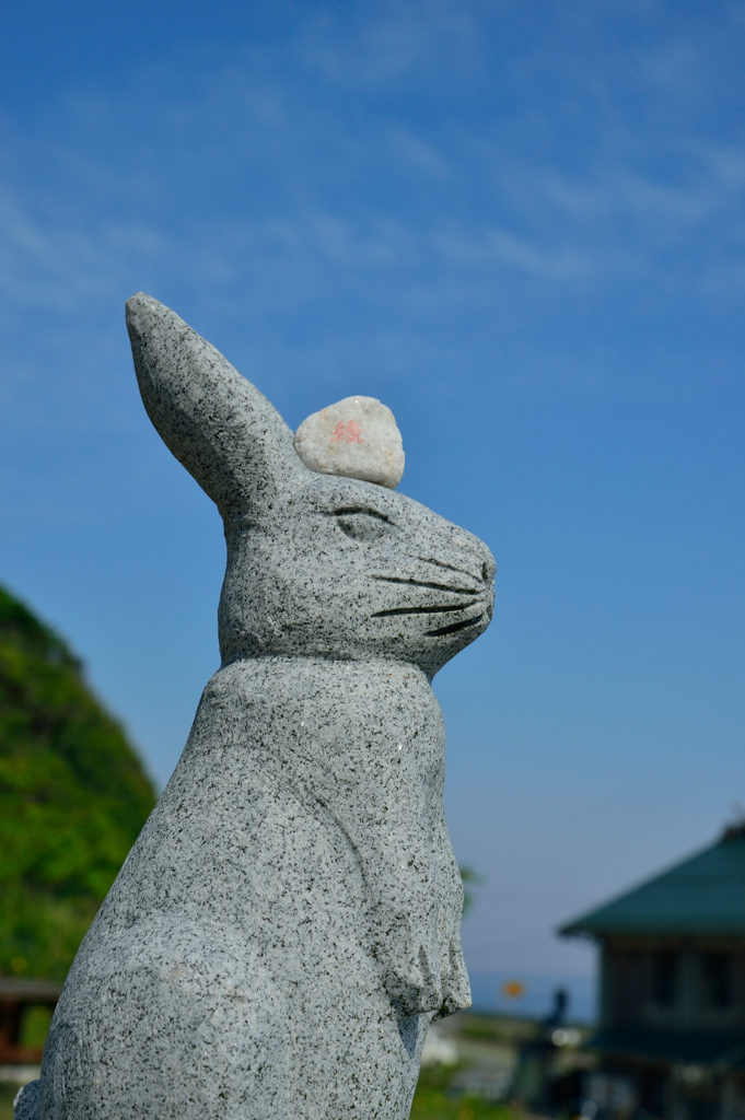 白うさぎの縁