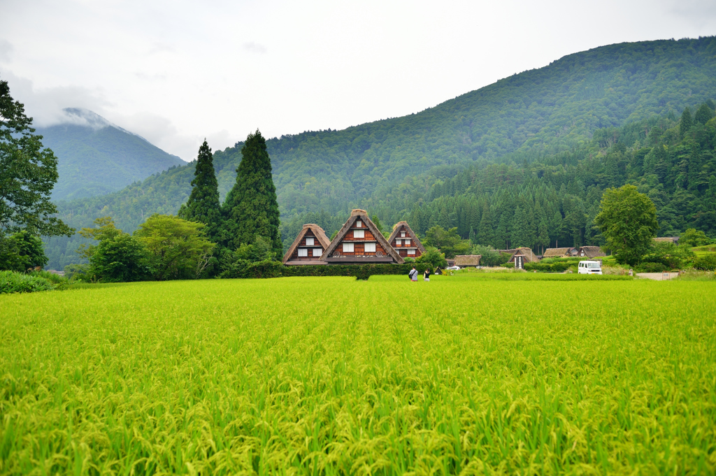 白川郷、、、、
