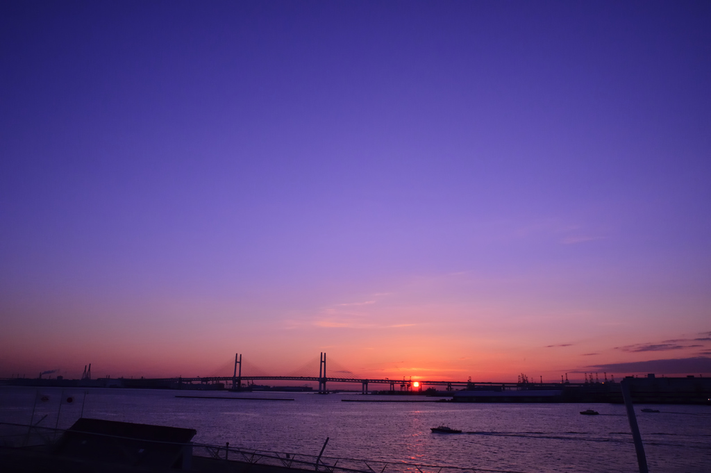 Yokohama Morning Glow.....